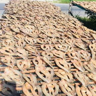 1kg khô cá lóc đặc sản Đồng Tháp nhà làm