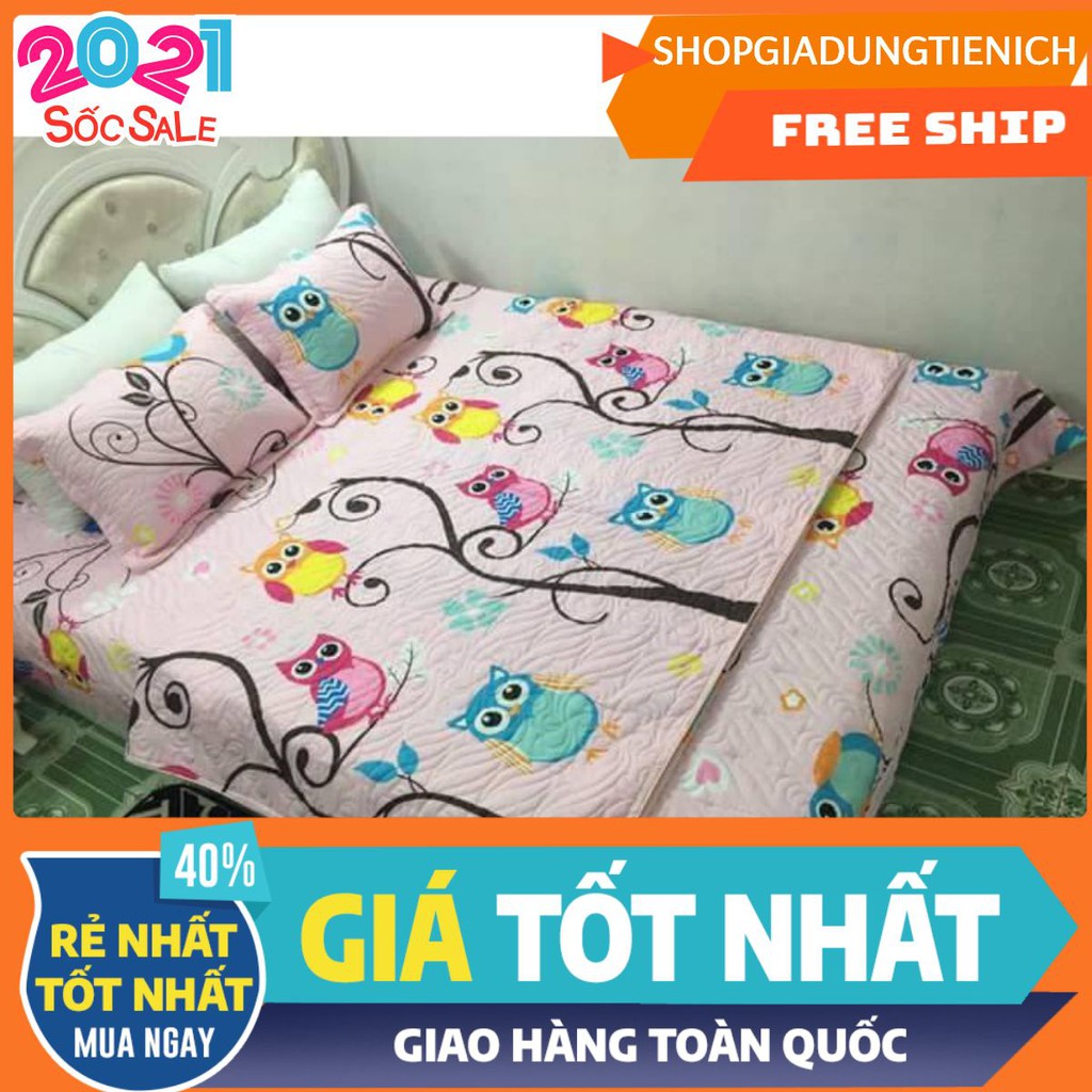 Set chăn hè ga gối poly chim hồng CH01