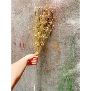 Sỉ cành quả châu trang trí oản tài lộc,cắm bình,bày mâm ngũ quả Tết