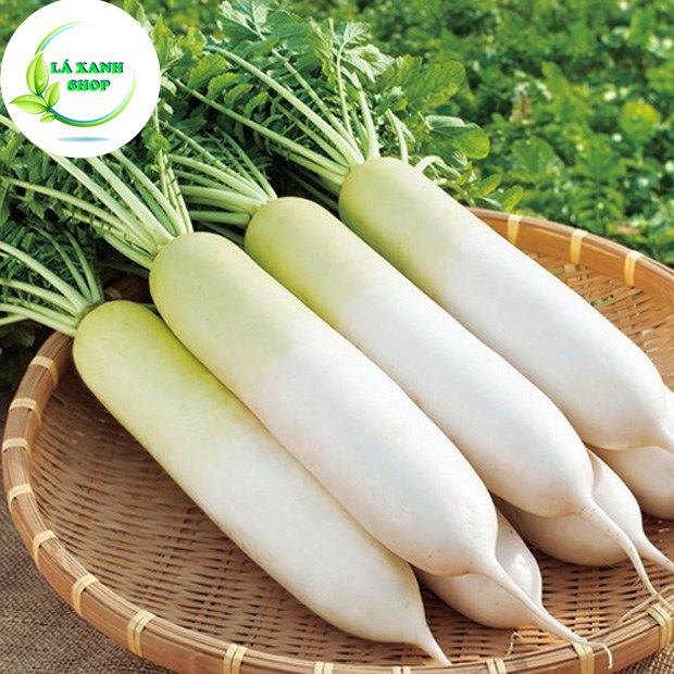 Hạt giống Củ Cải Trắng Dễ Trồng Củ To Dài, Sinh Trưởng Khỏe (gói 20 gram) - Hạt giống Rạng Đông