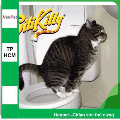 Bộ dạy mèo đi vệ sinh bồn cầu (LOẠI CÓ HỘP GIẤY) huấn luyện mèo đi vệ sinh đúng chỗ