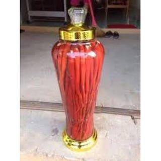 1 bịch SÂM TIÊN MAO ĐỎ (SÂM CAU ĐỎ) 0.5KG