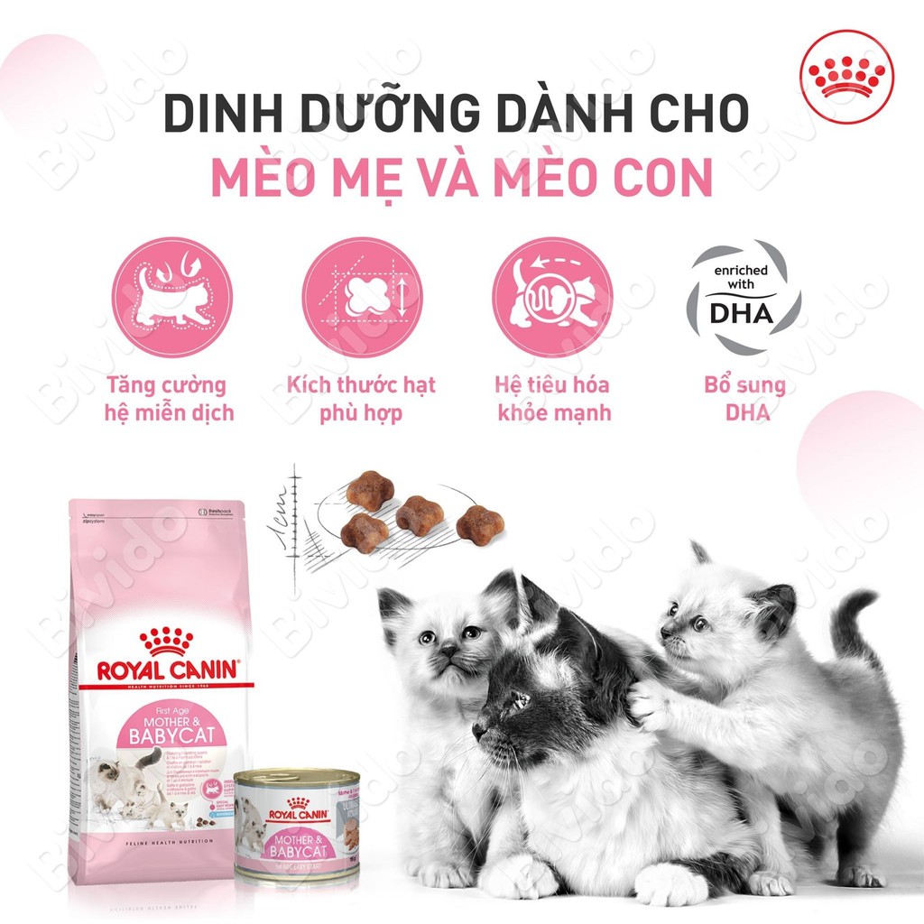 Thức ăn mèo Royal Canin Mother &amp; Babycat mèo mẹ mèo con cai sữa túi 500g - Bivido