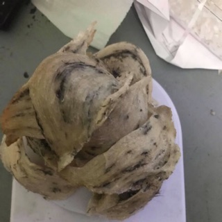 Tổ yến, yến sào thô nguyên tổ Nha Trang Khánh Hoà loại 1 100g +🎁🎁🎁