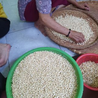 BẮP NẾP BUNG GIA LAI