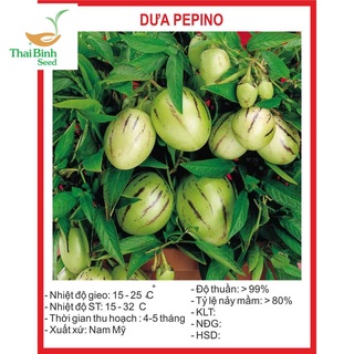 Hạt giống Dưa Pepino - 4 Hạt thailanseeds