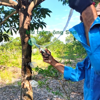Mủ trôm ông sen 600g 100% nhà làm tự nhiên nguyên chất