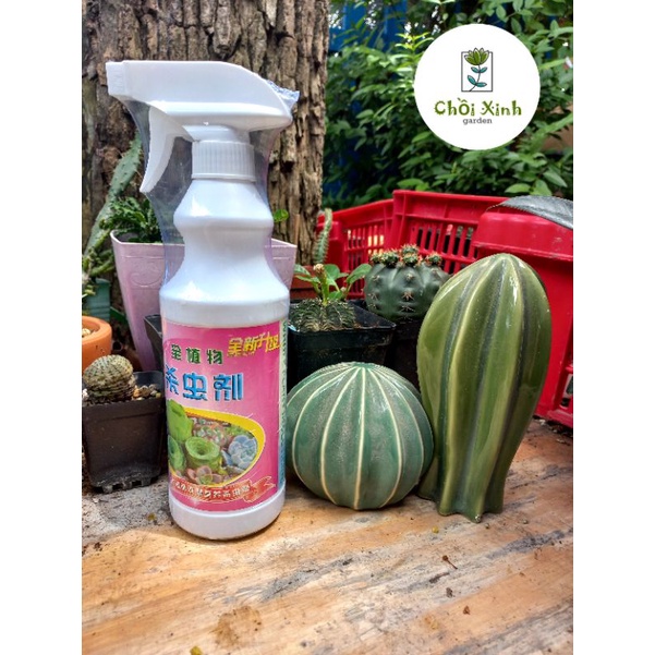 Chai xịt sen đá xương rồng bị rệp, bọ trĩ, nhện và các loại côn trùng 500ml