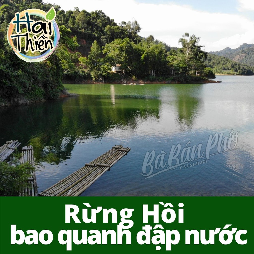 Hoa Hồi HAI THIỀN - hàng Xuất Khẩu Mỹ - Hoa Hồi Rừng nguyên  cánh chưa Chiết Xuất Tinh Dầu