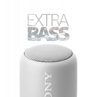 Loa không dây Sony SRS-XB10/YC E