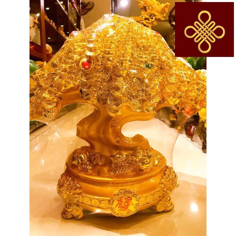 Cây Kim Tiền Phong Thuỷ cỡ đại cao 46cm dài42 rộng30