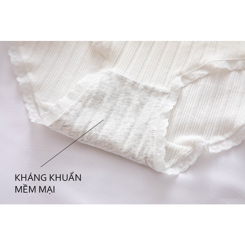 Set 5 quần lót nữ cotton tông màu cam hồng đáng yêu  Set 5 quần chíp nữ cotton lót kháng khuẩn