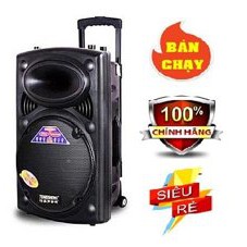 Loa Bluetooth Karaoke Kẹo Kéo Temeisheng DP-297L