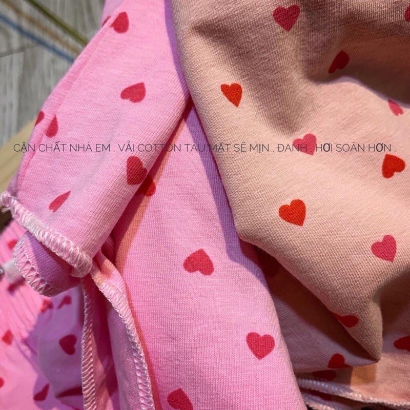 🎀 Quần Short Nữ Mặc Nhà Hoạ Tiết Cute 🎀 Quần Ngủ Nữ Chất Cotton Siêu Mát 🎀 GIAO MÀU NGẪU NHIÊN 🎀 | BigBuy360 - bigbuy360.vn