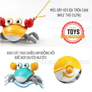 Cua đồ chơi cho bé