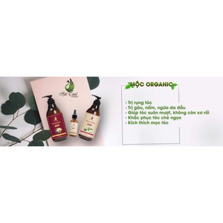 Bộ dầu gội + xả MỘC