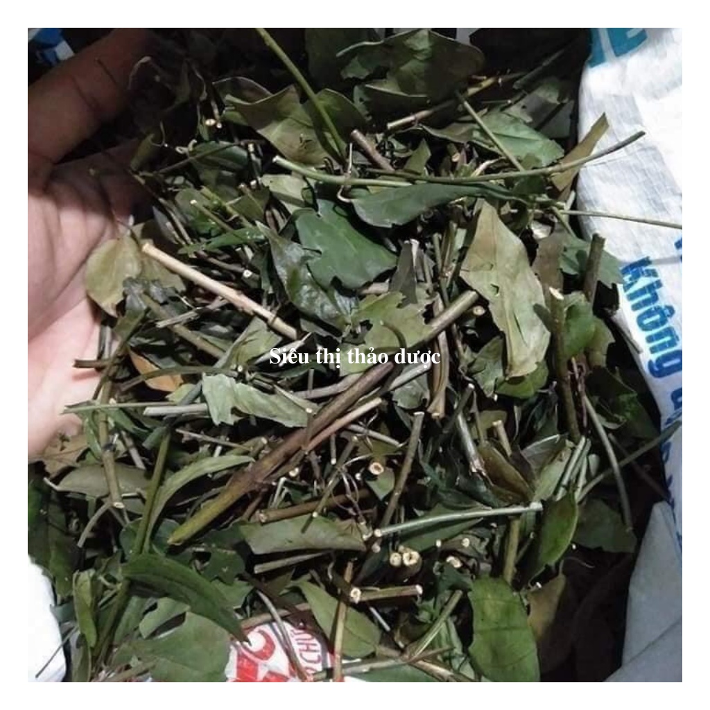 Chè Vằng Lá Sẻ Hàng Chất Lượng Mới, Sạch Giúp Lợi Sữa, Giảm Cân Túi  1Kg | BigBuy360 - bigbuy360.vn