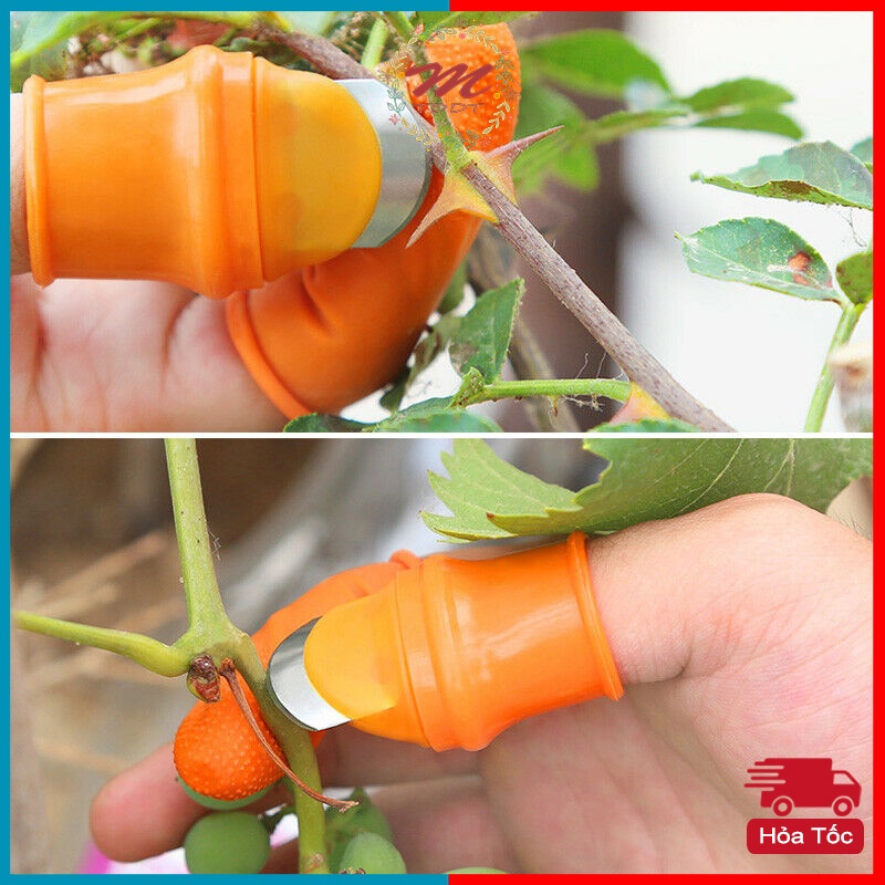 Bộ Móng Nhặt Rau Củ Quả Chống Bẩn Móng Tay, Ngón Cái Bấm Cắt Rau Củ - Nạo Gọt Tiện Lợi - MTDDT
