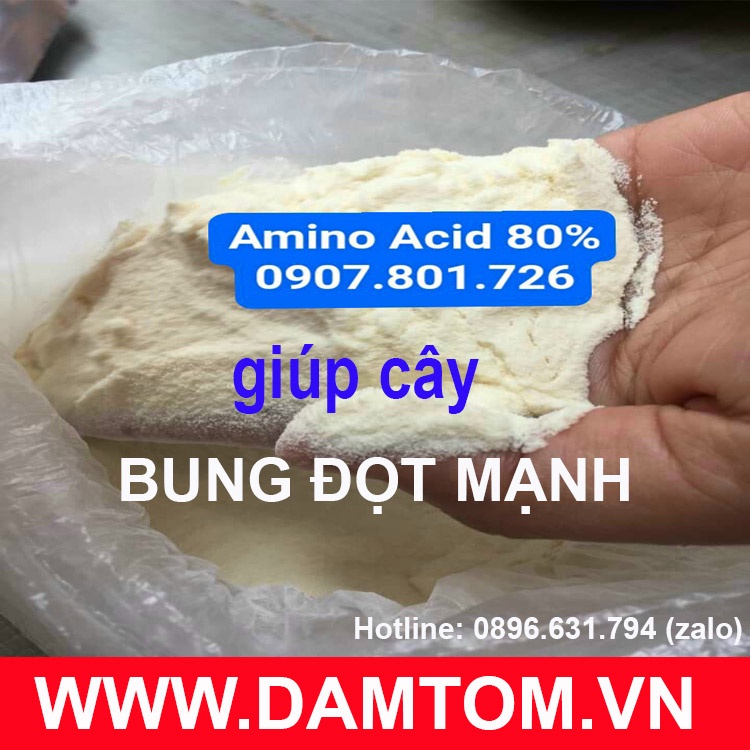 Đạm cá  cải tạo đất, tăng khả năng hấp thụ dinh dưỡng gói 500g