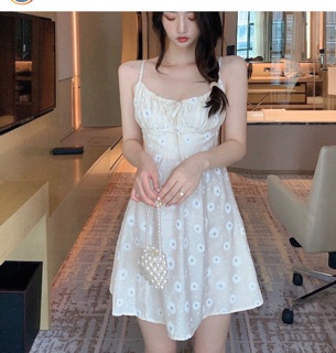 ĐẦM HOA CÚC RÃ NGỰC