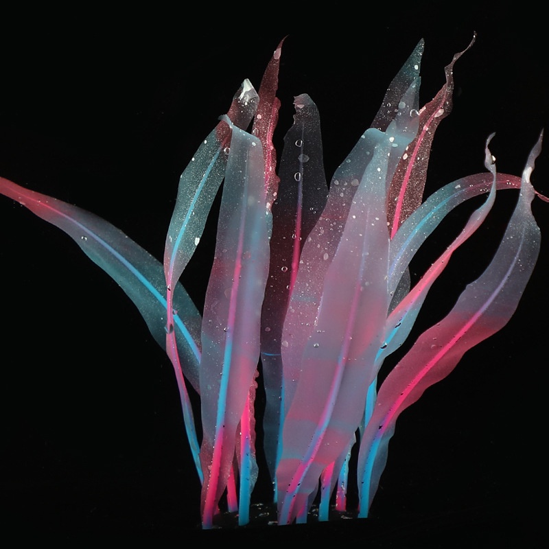 Cây Cỏ Nhân Tạo Bằng Silicone Dùng Trang Trí Bể Cá