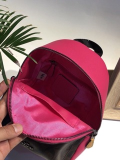🆘RẺ VÔ ĐỊCH🆘Balo Coach mini
