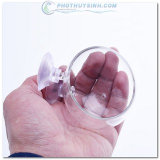 Cốc trồng cây