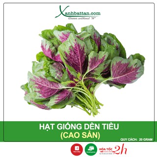 Hạt giống dền tiều cao sản phú nông gói 20 gram