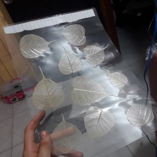 Combo 100 lá bồ đề ép nhựa