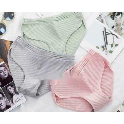 HỘP 4 QUẦN LÓT NỮ MUJI TĂM TRE[ GIÁ CHUẨN SHOPEE ] | BigBuy360 - bigbuy360.vn