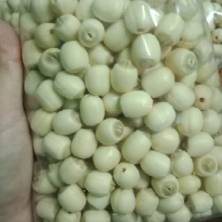 Sen tươi Huế 1kg