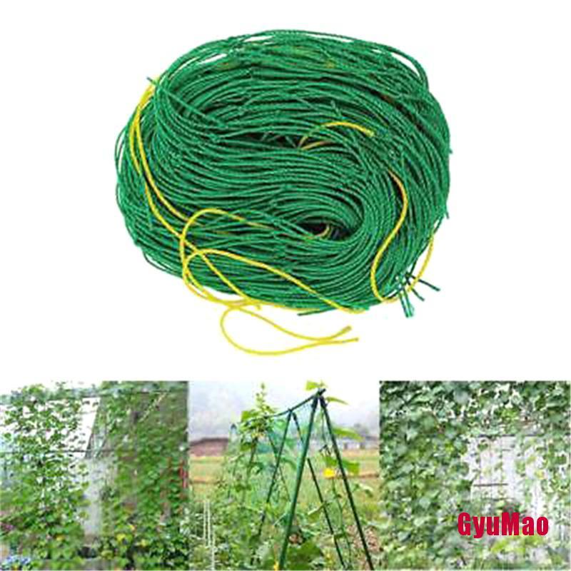 Lưới Hỗ Trợ Trồng Cây Dây Leo Bằng Nylon Tiện Dụng Cho Sân Vườn