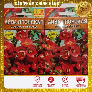 HẠT GIỐNG CÂY MAI ĐỎ NHẬT -HG NGA
