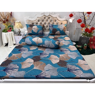 DRAP THUN HÀN QUỐC GIÁ HẤP DẪN