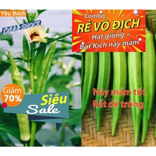 [Combo rẻ vô địch HẠT GIỐNG + GÓI  KÍCH NẢY MẦM] - 5 hạt giống quả đậu bắp xanh