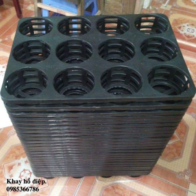 Bán buôn- 10 Khay hồ điệp hàng đẹp, nhập khẩu.