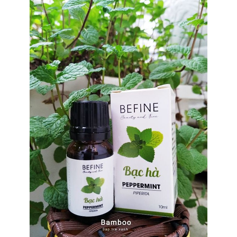 Tinh dầu Bạc hà Befine 10ml