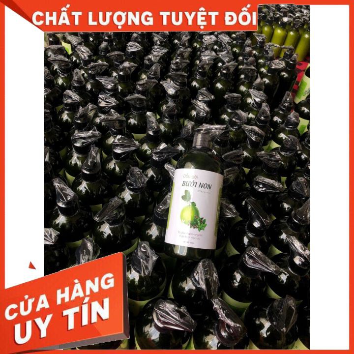 COMBO dầu gội xả bưởi [GIÁ SỐC] nấu thủ công cô đặc sạch gàu chống rụng giúp tóc trông dày dài hơn