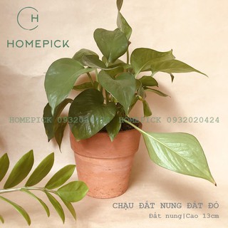 COMBO CHẬU ĐẤT NUNG