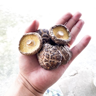 100 Gram Nấm Đông Cô Khô ( Hàng nhập khẩu trực tiếp )