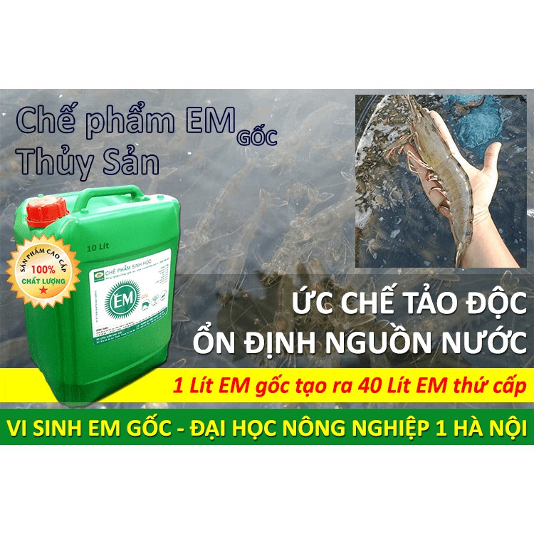 Chế phẩm sinh học EM gốc (EM1)