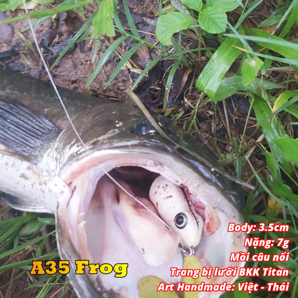 Mồi câu cá lóc Nhái Hơi A35 lưỡi titan , mồi Lure Handmade cao su Thái Lan