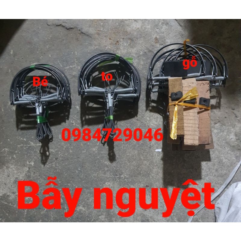 BẪY CUNG..