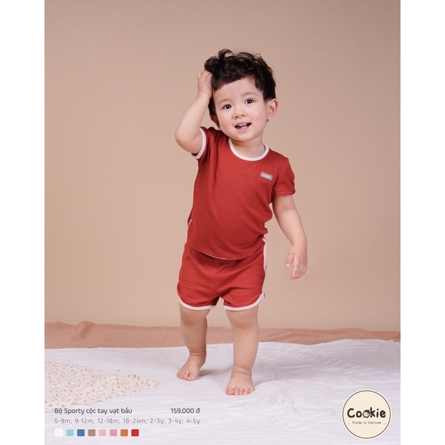 Bộ Cộc Tay Vạt Bầu Cookie