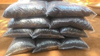 500g hạt tiêu đen