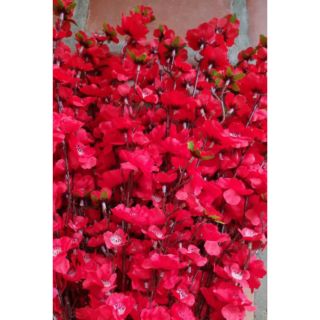 Cành hoa anh đào mầu đỏ đẹp loại 1