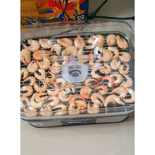 Máy sấy hoa quả thực phẩm gia đình Makxim USA