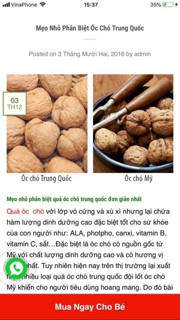 Óc chó mỹ còn vỏ 500gr