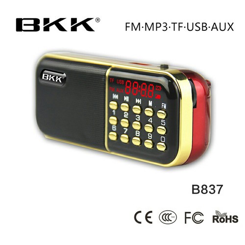 Loa nghe nhạc thẻ nhớ, usb, đài FM BKK B837