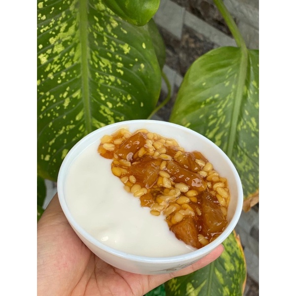 SET CHÈ BƯỞI